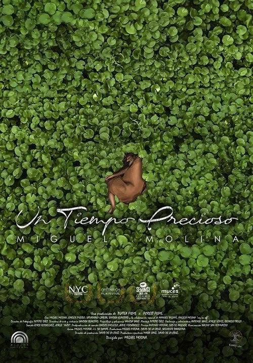 Постер: Un tiempo precioso