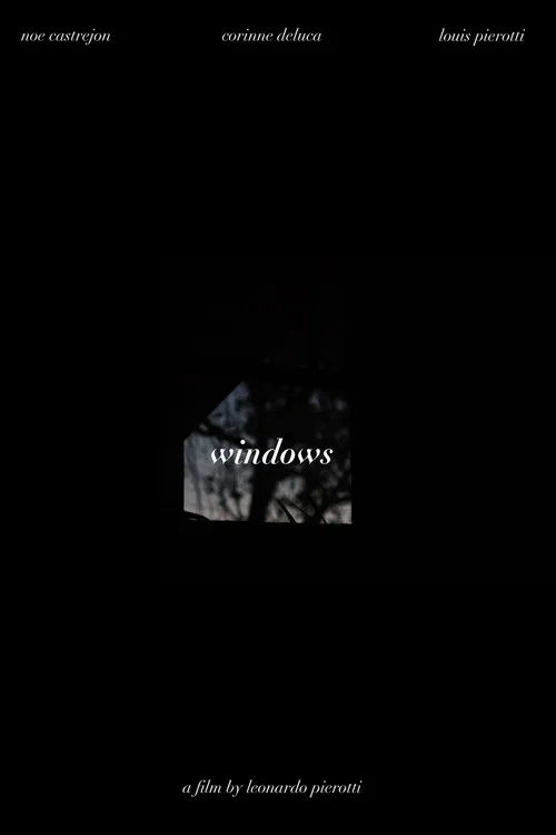 Постер: Windows