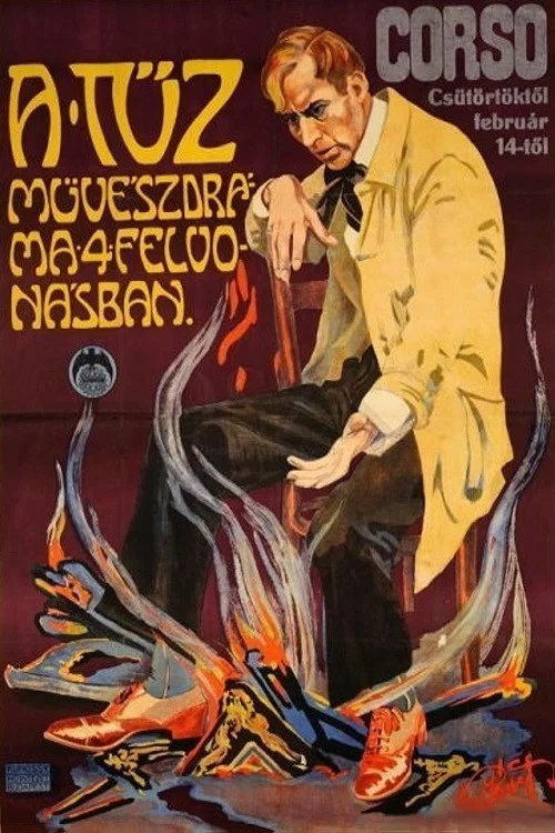 Постер: A Tüz