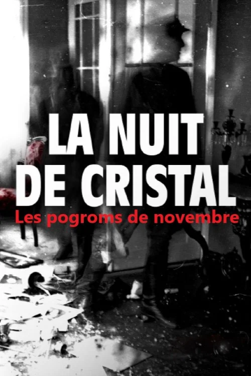 Постер: La nuit de cristal, les pogroms de novembre
