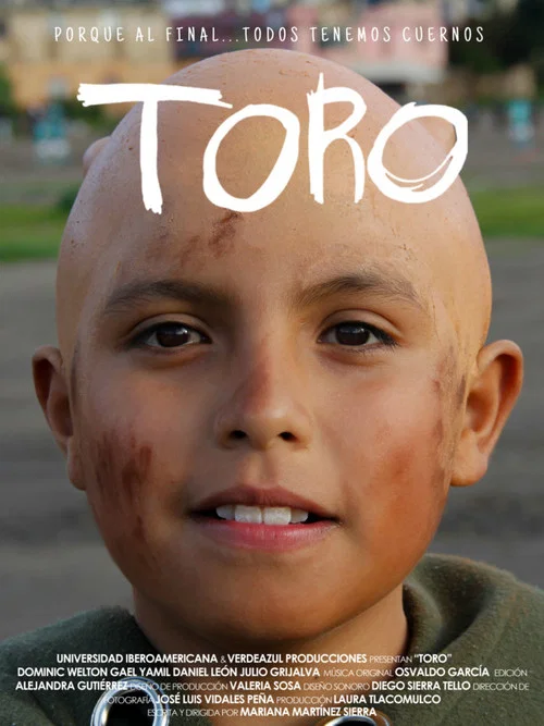 Постер: Toro