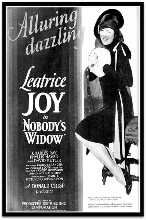 Постер: Nobody's Widow