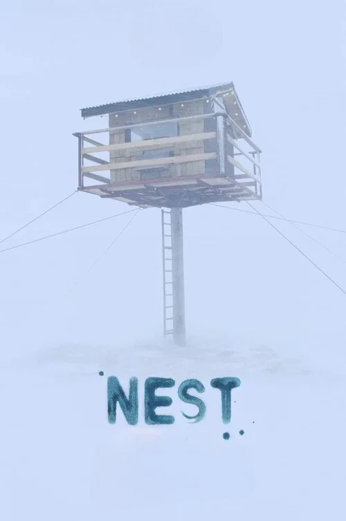 Постер: Nest