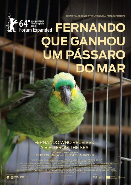 Постер: Fernando Que Ganhou Um Pássaro Do Mar