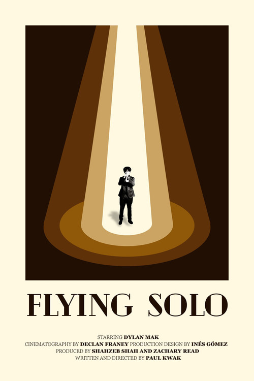 Постер: Flying Solo