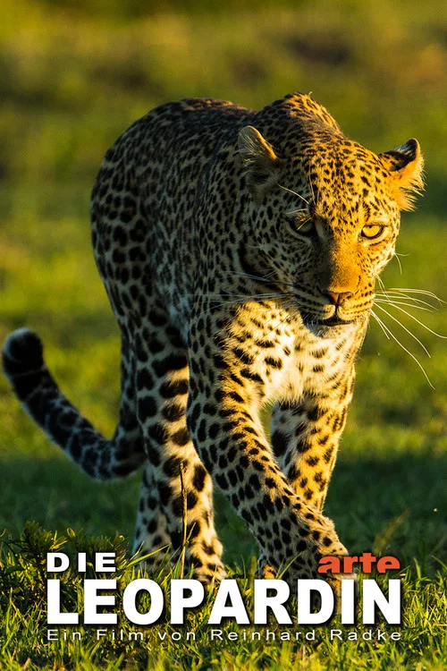 Постер: Die Leopardin