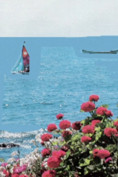 Постер: At the Shore