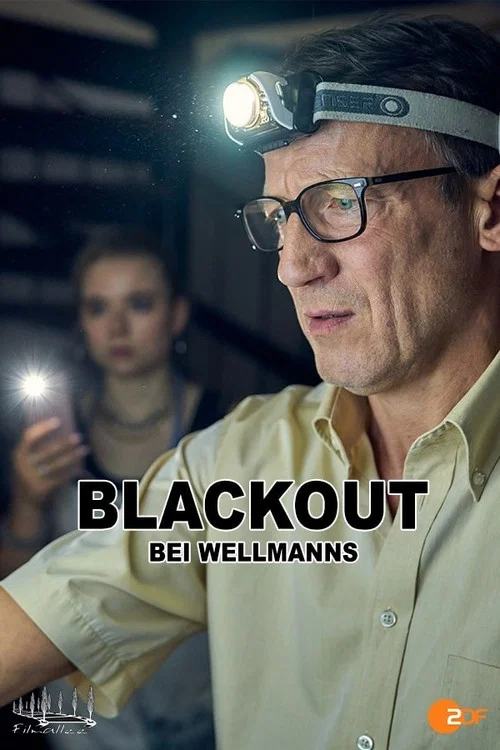 Постер: Blackout bei Wellmanns
