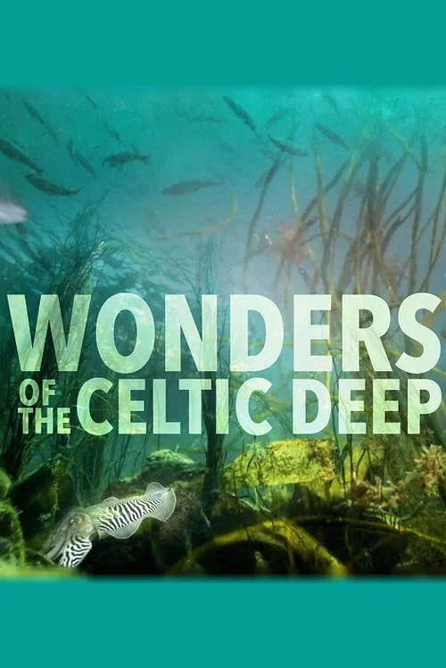 Постер: Wonders of the Celtic Deep