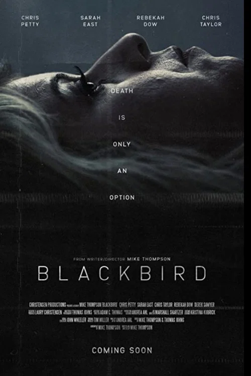 Постер: Blackbird