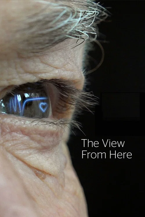 Постер: The View from Here