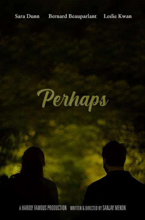 Постер: Perhaps