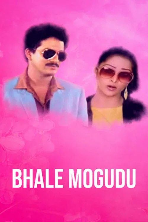 Постер: Bhale Mogudu