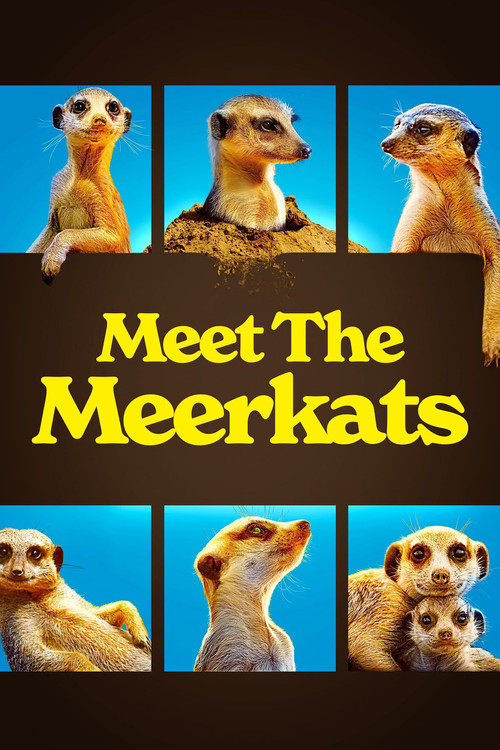 Постер: Meet The Meerkats