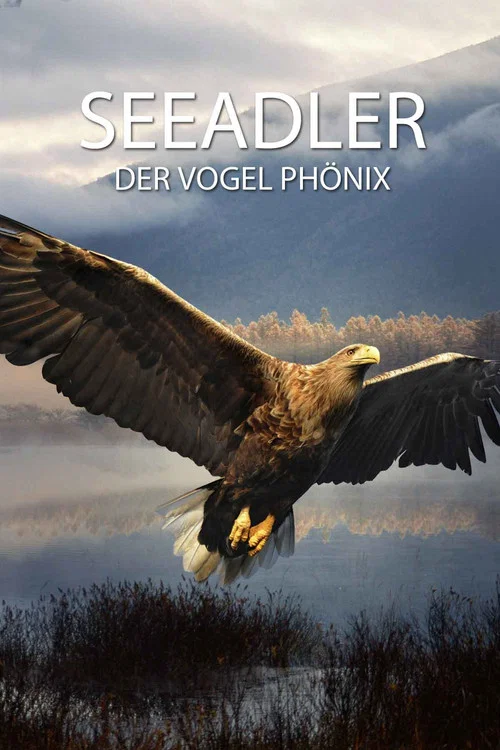 Постер: Seeadler: Der Vogel Phönix