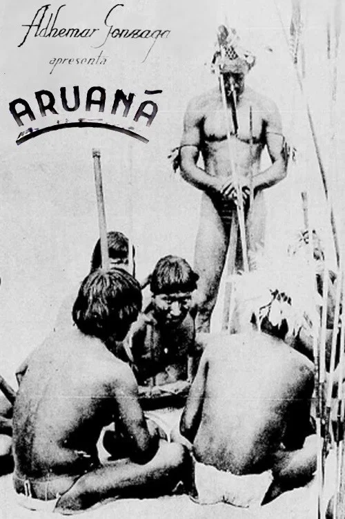 Постер: Aruanã