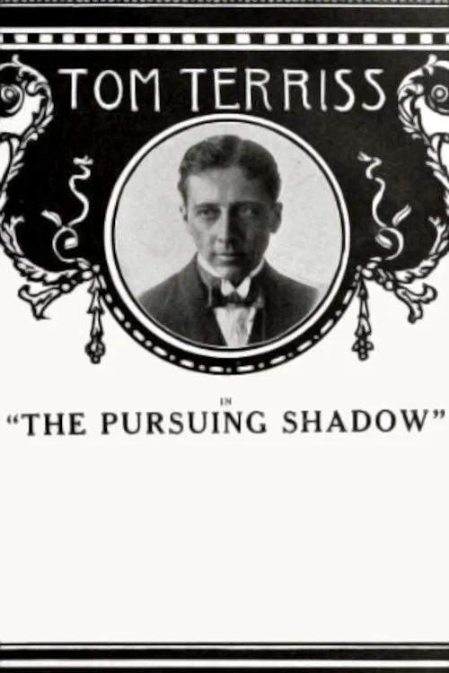 Постер: The Pursuing Shadow