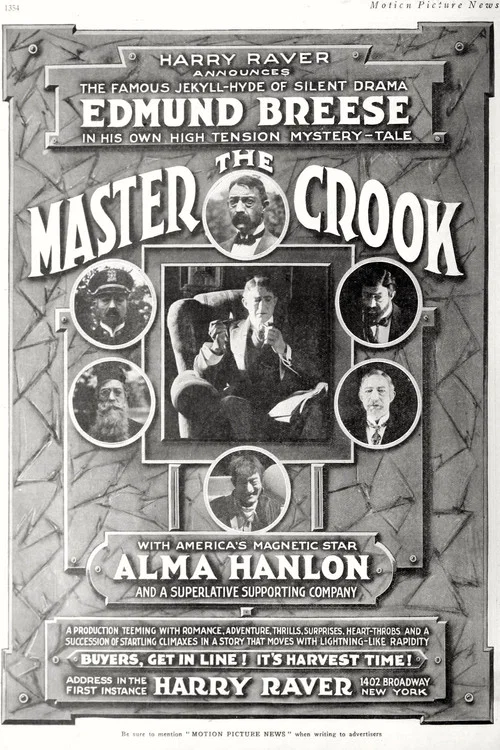 Постер: The Master Crook