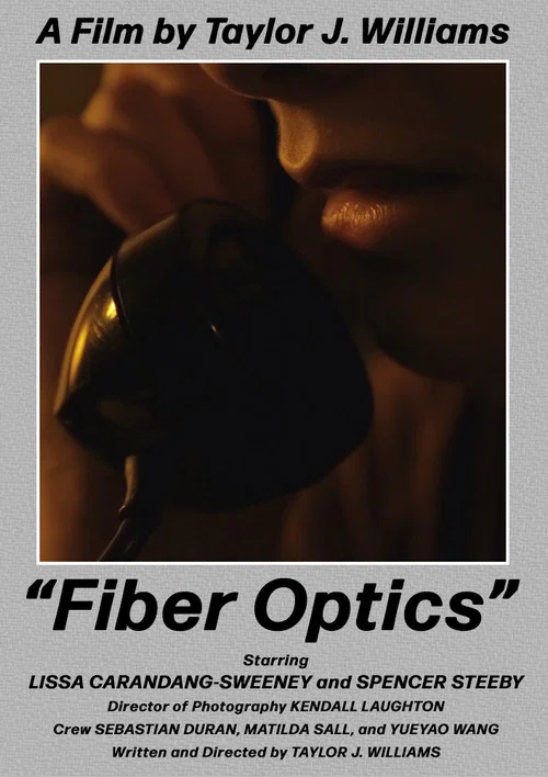 Постер: Fiber Optics