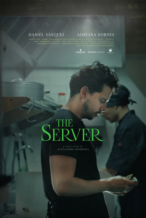 Постер: The Server