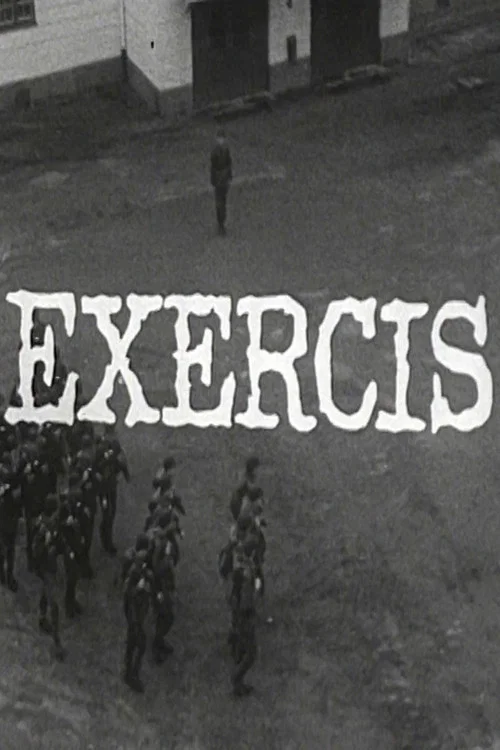 Постер: Exercis