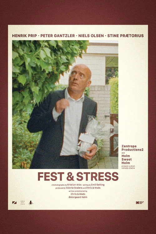 Постер: Fest & Stress