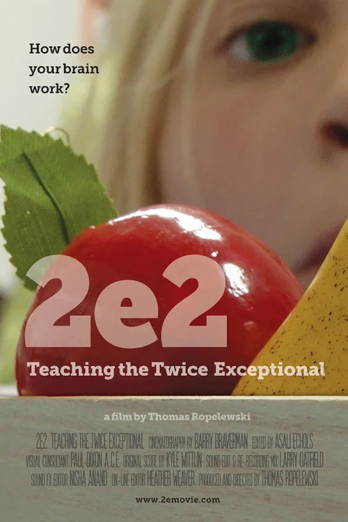 Постер: 2e: Teaching the Twice Exceptional