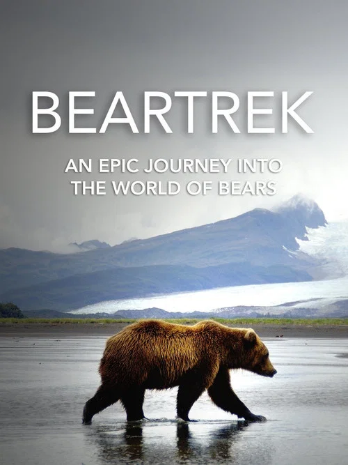 Постер: Beartrek