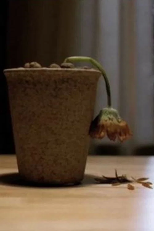Постер: Älskade blomma