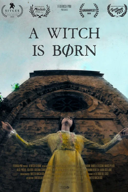 Постер: A Witch is Børn