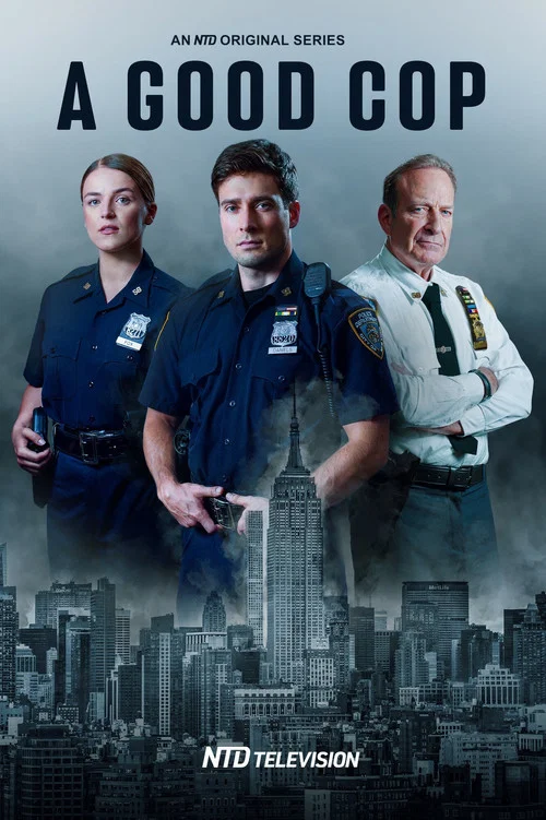 Постер: A Good Cop