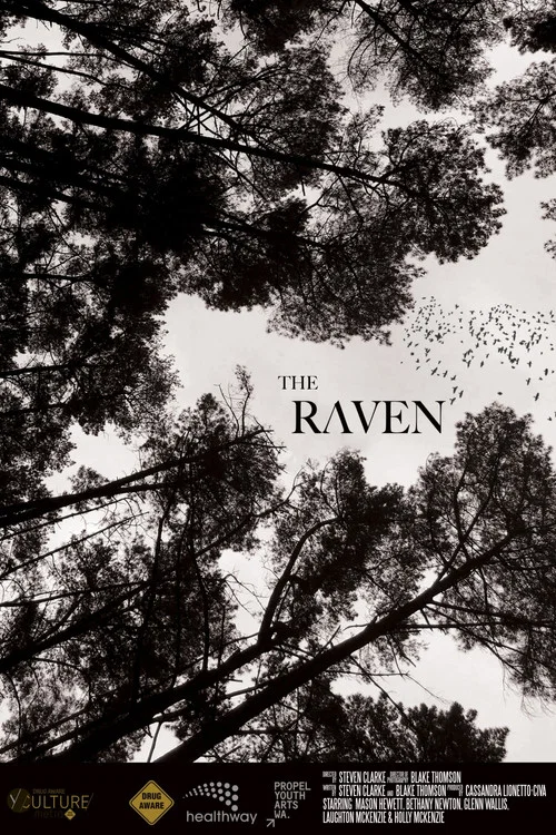 Постер: The Raven