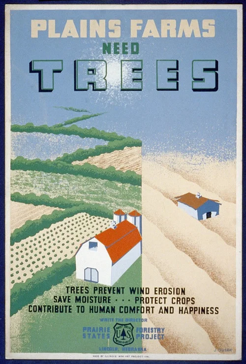 Постер: Windbreaks on the Prairies
