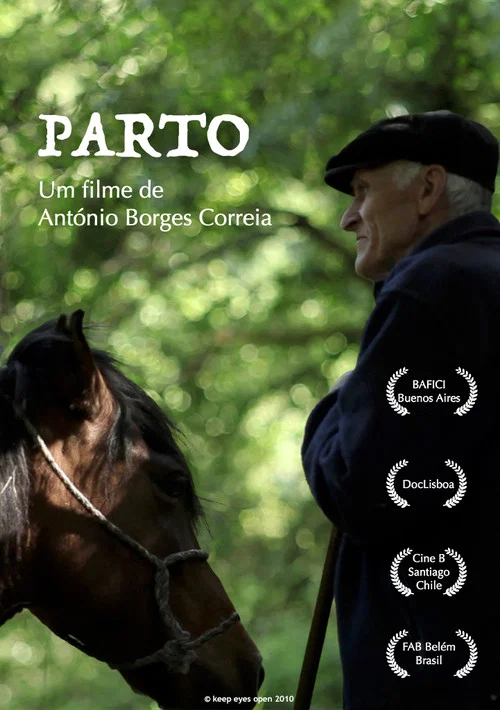 Постер: Parto