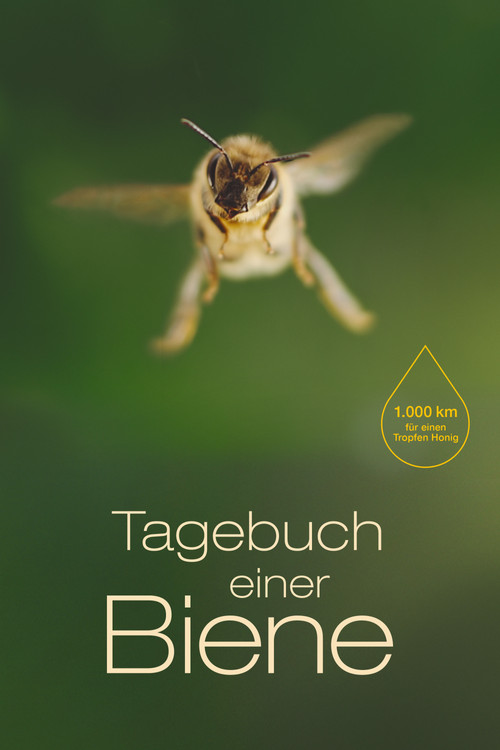 Постер: Tagebuch einer Biene