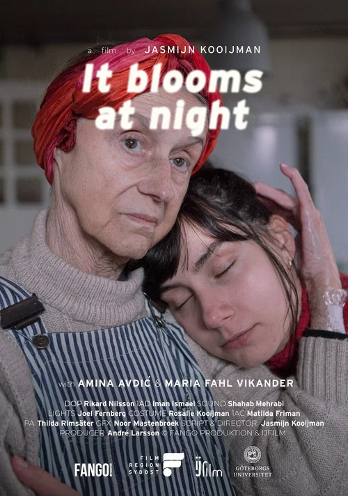 Постер: It blooms at night