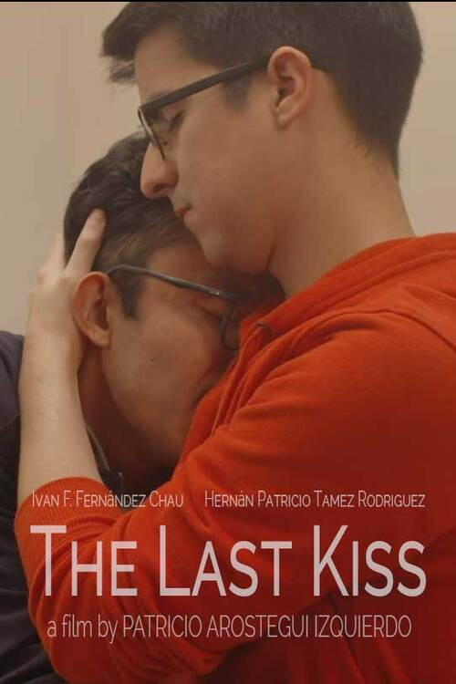 Постер: The Last Kiss