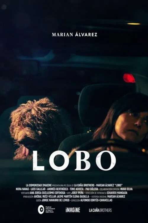 Постер: Lobo
