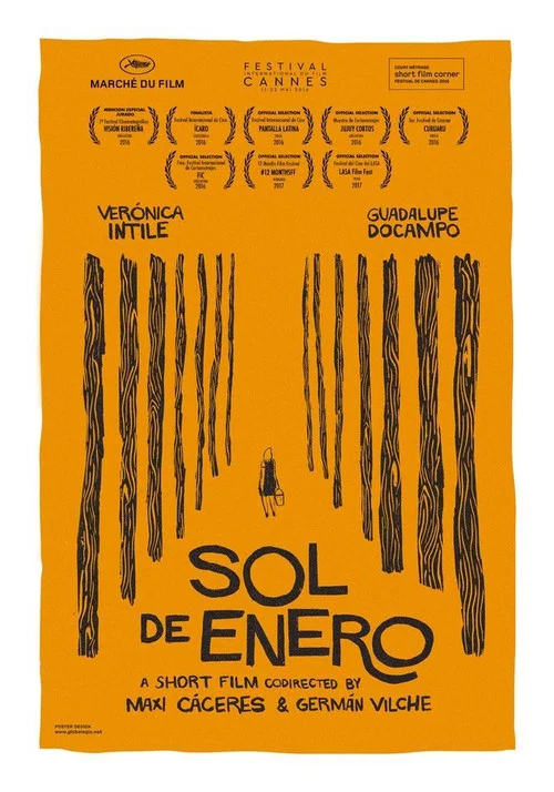 Постер: Sol de Enero