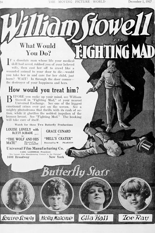 Постер: Fighting Mad