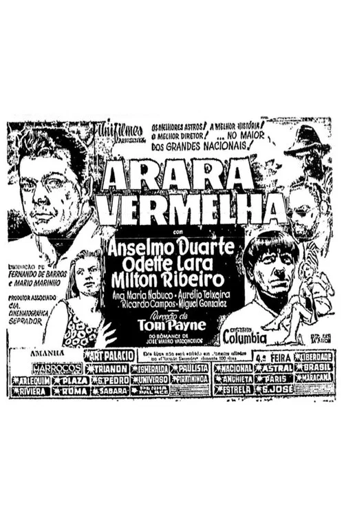 Постер: Arara Vermelha