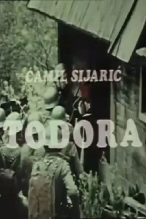 Постер: Todora