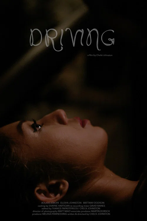 Постер: Driving