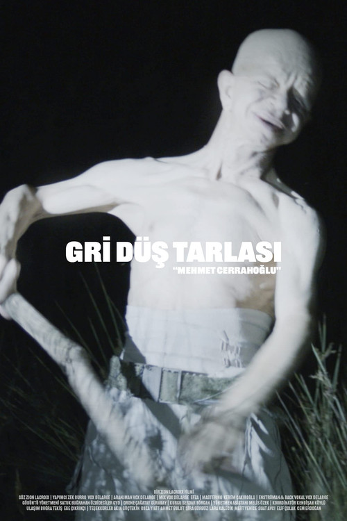 Постер: The Field of Gray Dreams