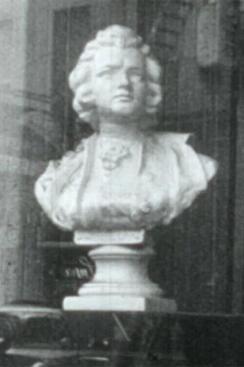Постер: What Mozart Saw on Mulberry Street