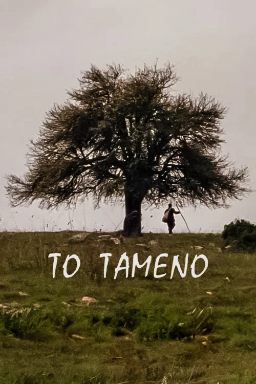 Постер: To tameno