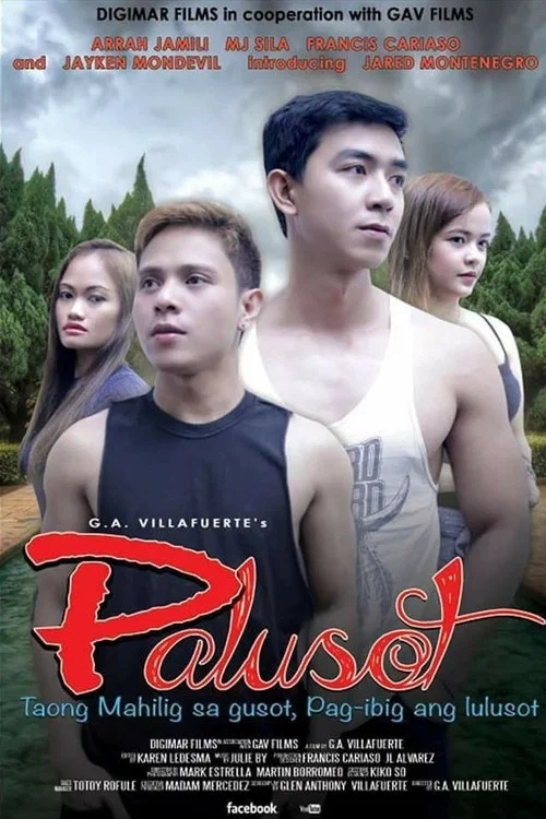 Постер: Palusot