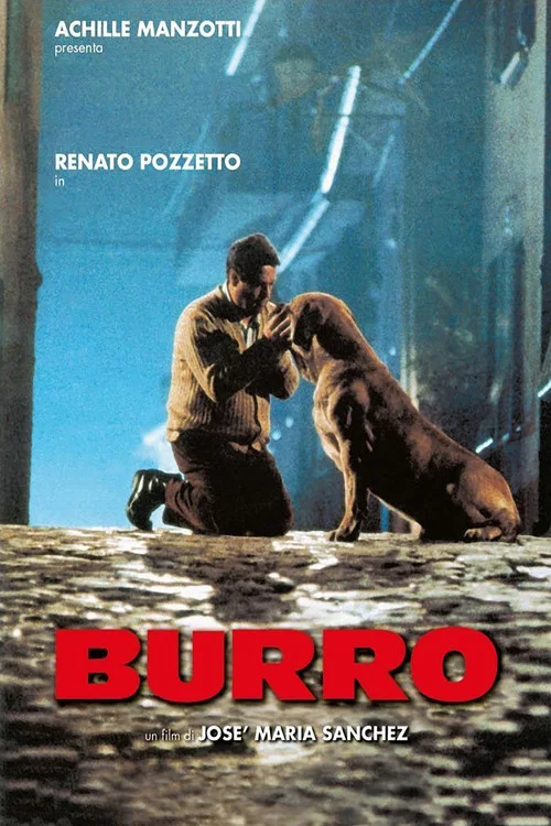 Постер: Burro