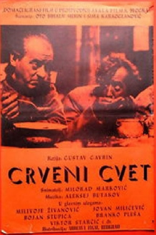 Постер: Crveni cvet