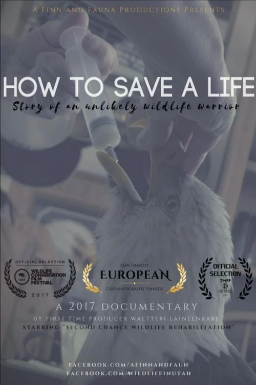 Постер: How to Life